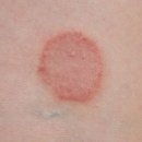 날으는 동물병원 이미지