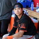 이정후 카카오 검색결과