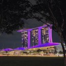 블랙샌즈호텔 | [싱가포르] 여행기 _ DAY 1 (뉴턴 푸드센터, 마리나베이샌즈, 사테거리)