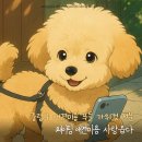 사랑옵다 | 강아지와 부담 없이 갈 중랑구 애견미용 사랑옵다