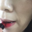 G1805 | 스킨톡 립스틱 - 체리토마토를 담은 여름뮤트립 &#39;벨벳립스틱&#39;