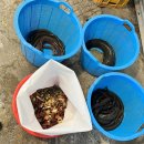 민물건강원 이미지