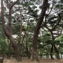 더봄애견 이미지