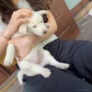 도봉산갈비 이미지