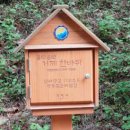 맹종죽순체험길 이미지