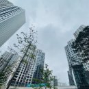 서초골드공인중개사사무소 이미지