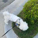 동남시티약국 이미지