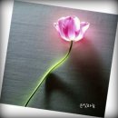 봉암동201 이미지