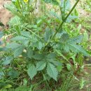 선학초등학교 이미지