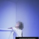 에고튼 네이버블로그