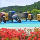 청춘 별을 쏘다 이미지