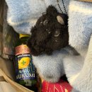 스카이소프트 이미지