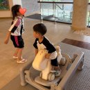 법인제주에서 | 제주 덕천연수원 예약방법 총정리! 이 가격에 이 숙소 맞나요? (객실 후기)