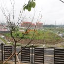 시흥목감퍼스트리움 이미지