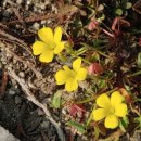 The Commun 이미지