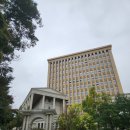 경희치과병원 | 경희대 비바브라보 콘서트 2025 후기, VIP 좌석 뷰