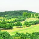 (주)삼덕환경개발