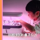 가정용 수경 식물재배기 아이와 한달 사용해본 어썸네이처 리뷰