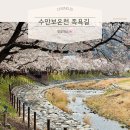 수안보족욕길 | 국내 봄 여행지 추천, 충주 수안보 족욕길 벚꽃 명소 후기 +무료 족욕 정보