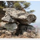 아미산 흑염소 농장 이미지