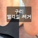 포쉬네일구리갈매 네이버블로그