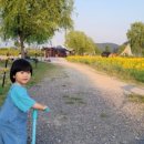 창원시청 개방화장실 이미지