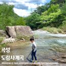 도림사계곡 | 곡성 도림사계곡 광주 근교 계곡 물놀이 아이랑 가볼만한곳