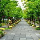 시민정원 이미지