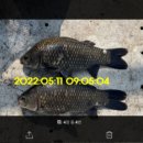 신원대로-7 이미지