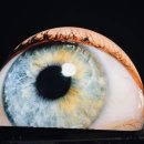 美도심 한복판에 '111m 거대 눈알’ 정체 이미지