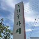 유기농카페 | [강원] 춘천 데이지 꽃밭카페 춘천 유기농카페 후기 가격 주차 유아의자 (26년 5월 10일 기준 데이지...
