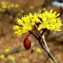 성안드레아 병원 이미지