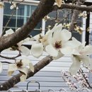 평리리마을회관 이미지