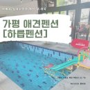 하릅펜션매점 | 가평 애견펜션 '하릅펜션' 103호 세습호 내돈내산 후기