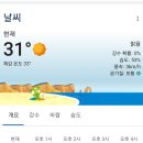 프랑스기온 미쳤는데요 이미지