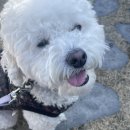 탑지 생태공원 이미지