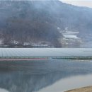 소나무 태양광발전소 이미지