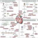 Energy metabolism in health and diseases. 2025 nature 이미지