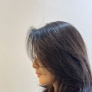 헤어,꼼므