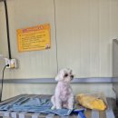 낄낄아놀자 이미지