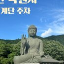 세인성형외과의원 네이버블로그