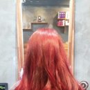 빨간머리 미용실 이미지