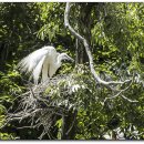 백로마을 이미지