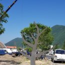 자전거 조형물 이미지