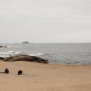 독도활어횟집 | 속초 장사항 맛집 1티어 독도활어횟집