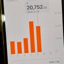 유화목장 | [충남/태안/천리포수목원]5월 천리포수목원은 비비추의낙원, 식사는 천리포횟집 아나고두루치기 드십시오