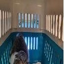 재송동물병원 이미지