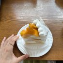 거성냉동 | 흰당나귀 카페 서산 카페 추천 해요 ⭐️