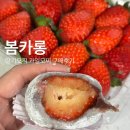 열정과일 | 2025년 :: 봄카롱 딸기모찌 과일모찌 구매후기