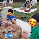 <밤이 아름다운 별밤피크닉> 이미지